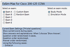 boson exam simulator
