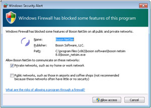 Windows Secruity Alert dialog box
